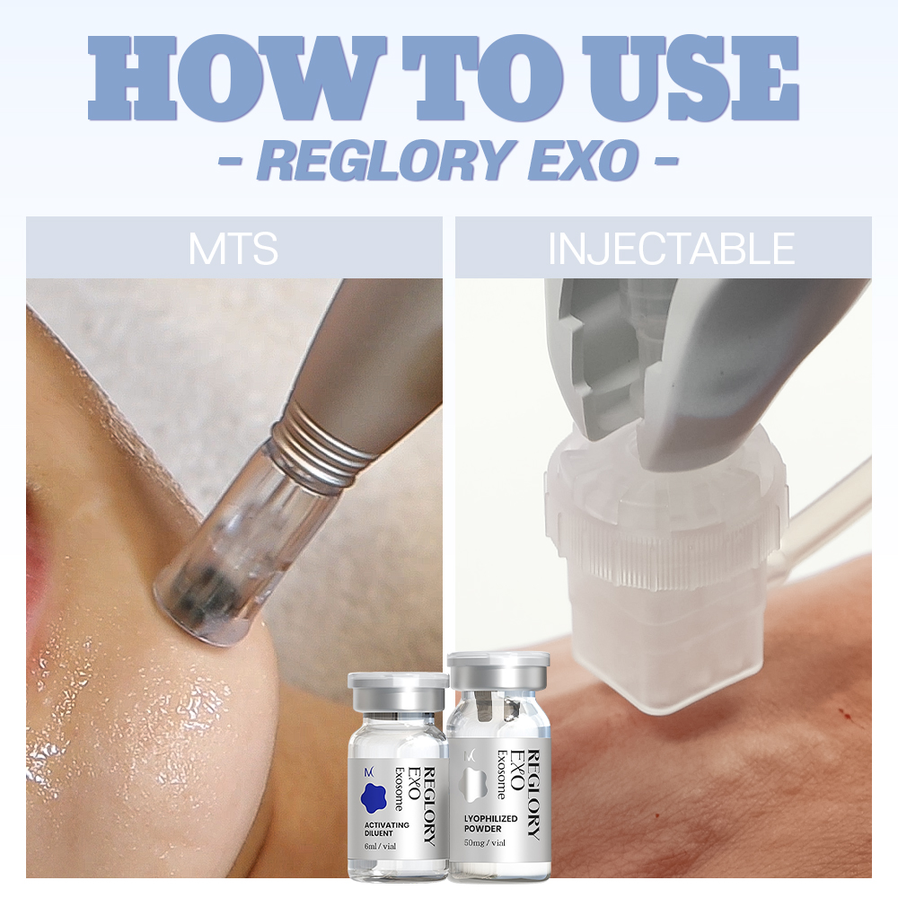 Medisco Reglory EXO